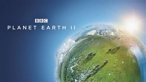 watch planet earth 2 online free|planet earth 2 netflix release.